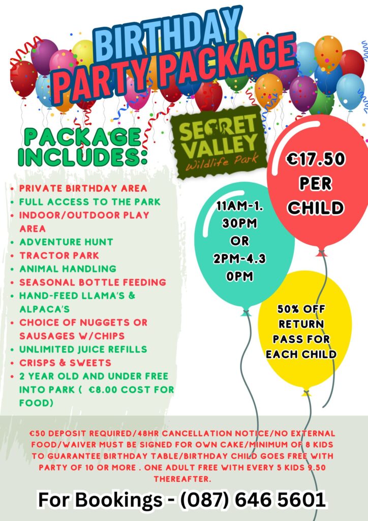 Birthday Party Package at Secret Valley